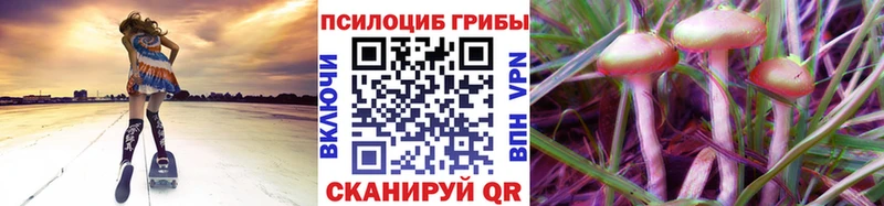 Галлюциногенные грибы ЛСД где купить Борисоглебск