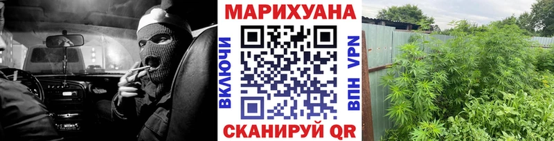 Конопля Amnesia  Борисоглебск 